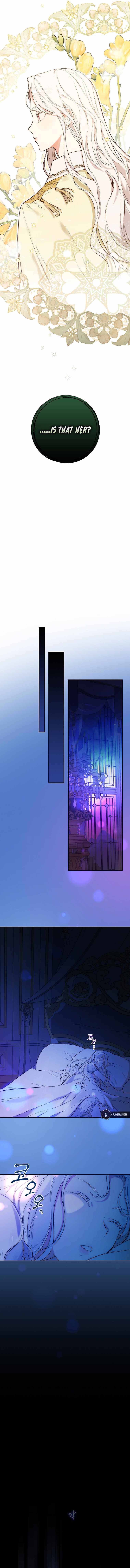 Page 13 of Chapter 1