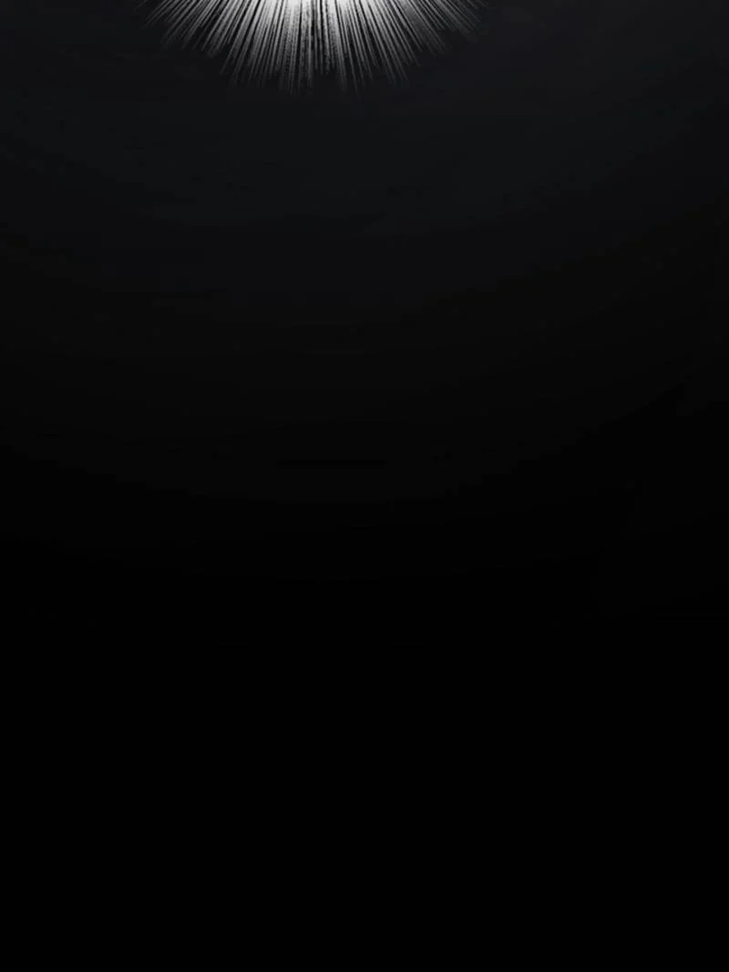 Page 36 of Chapter 592