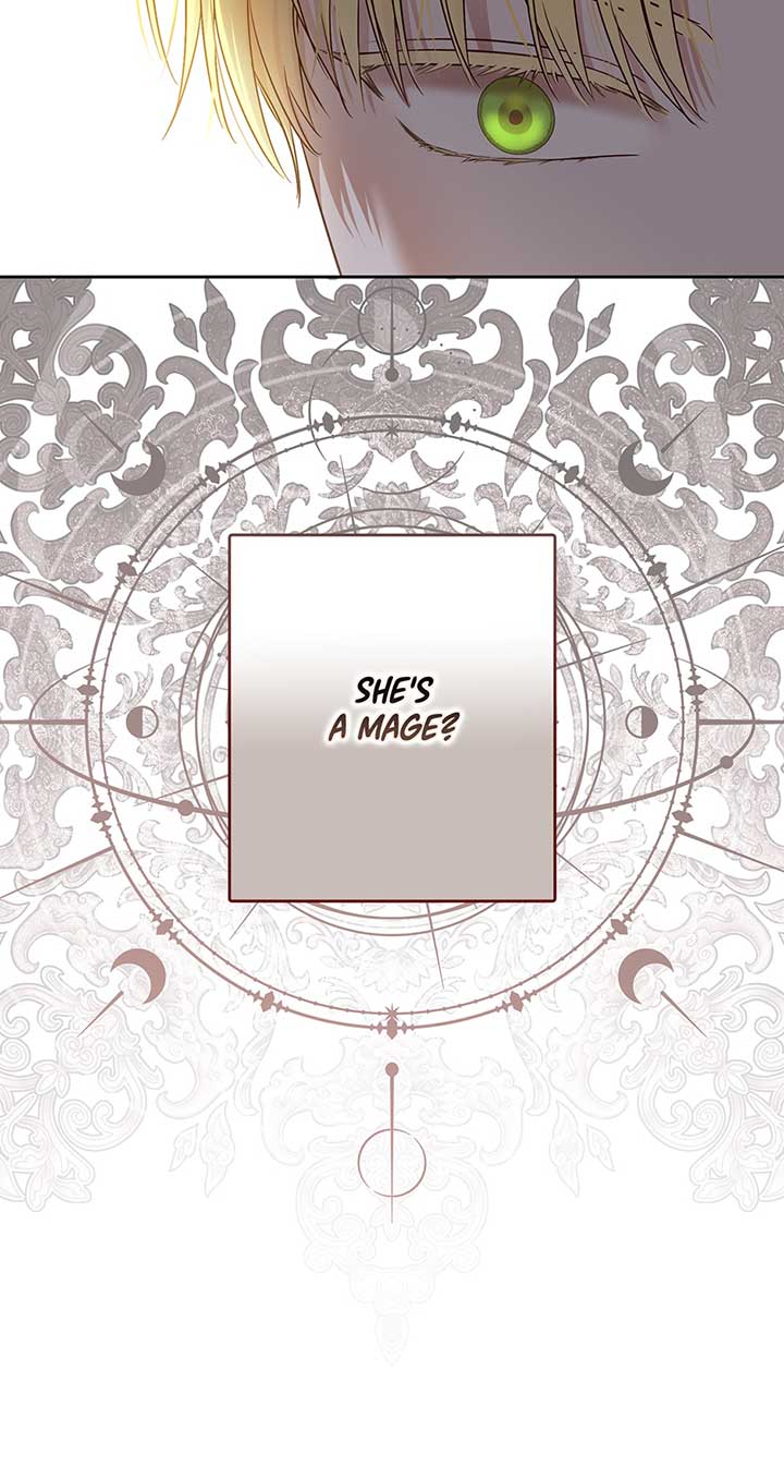Page 62 of Chapter 117