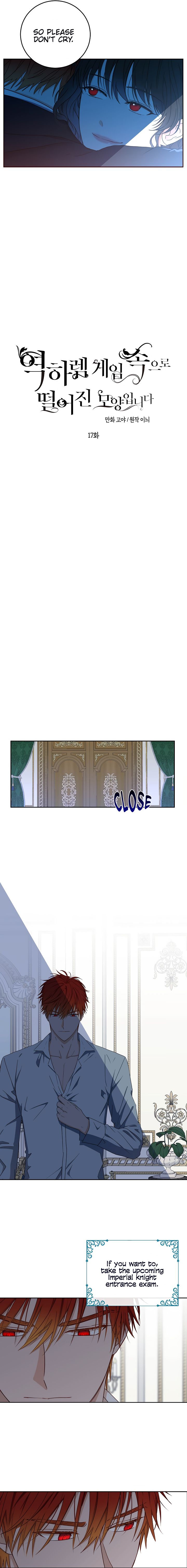 Page 3 of Chapter 17