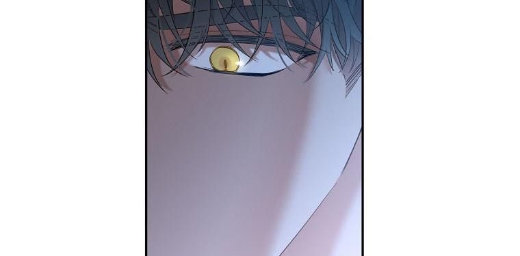 Page 141 of Chapter 60