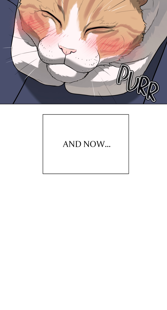 Page 107 of Chapter 4