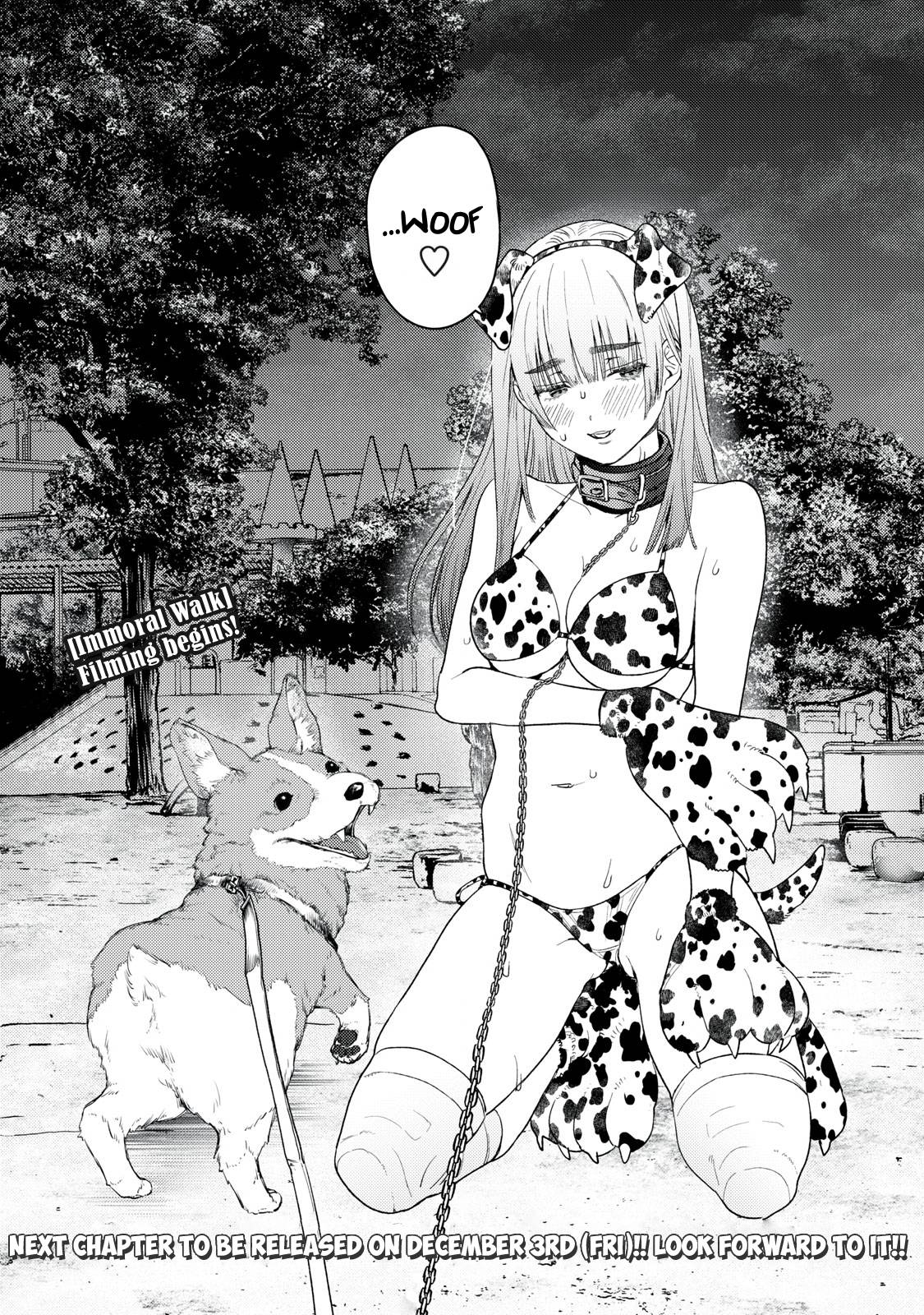Page 19 of Chapter 17