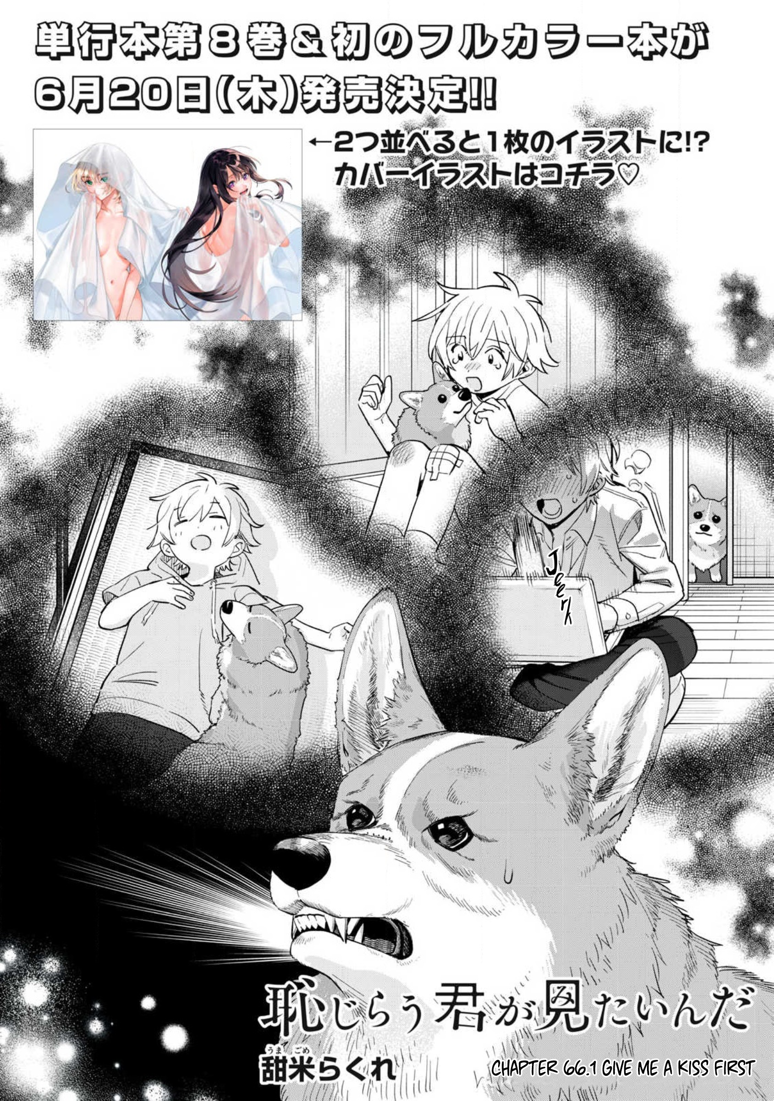 Page 3 of Chapter 66.1