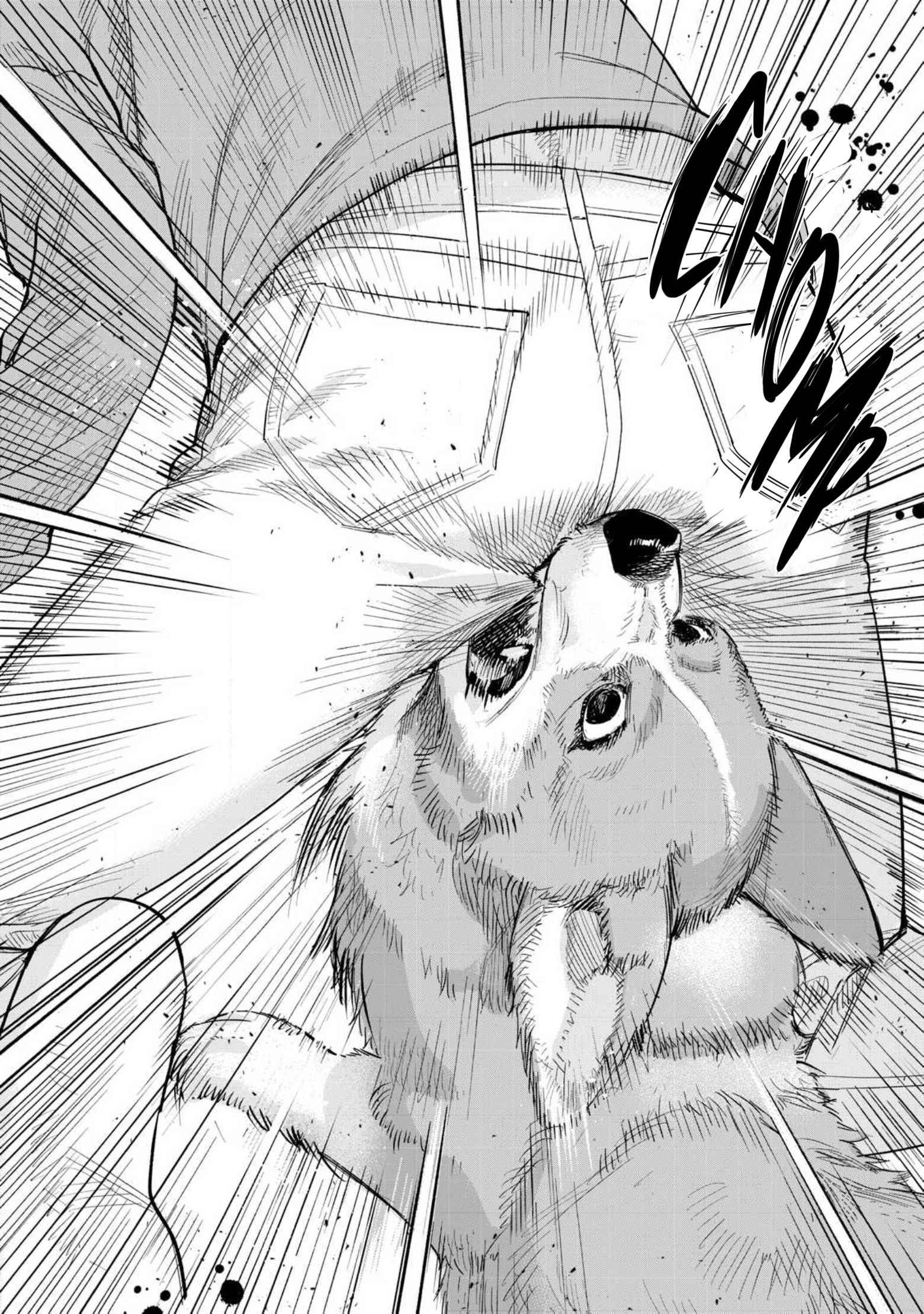 Page 11 of Chapter 66.1