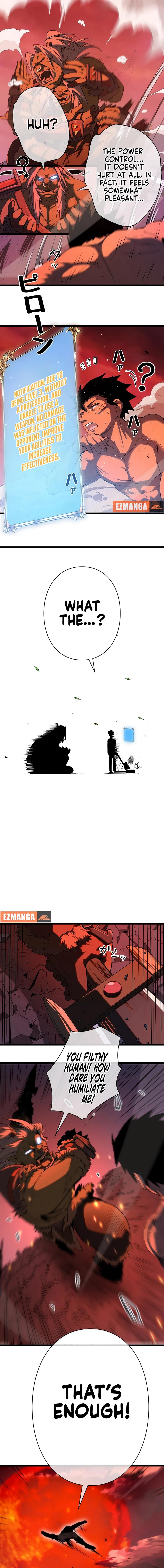 Page 13 of Chapter 2