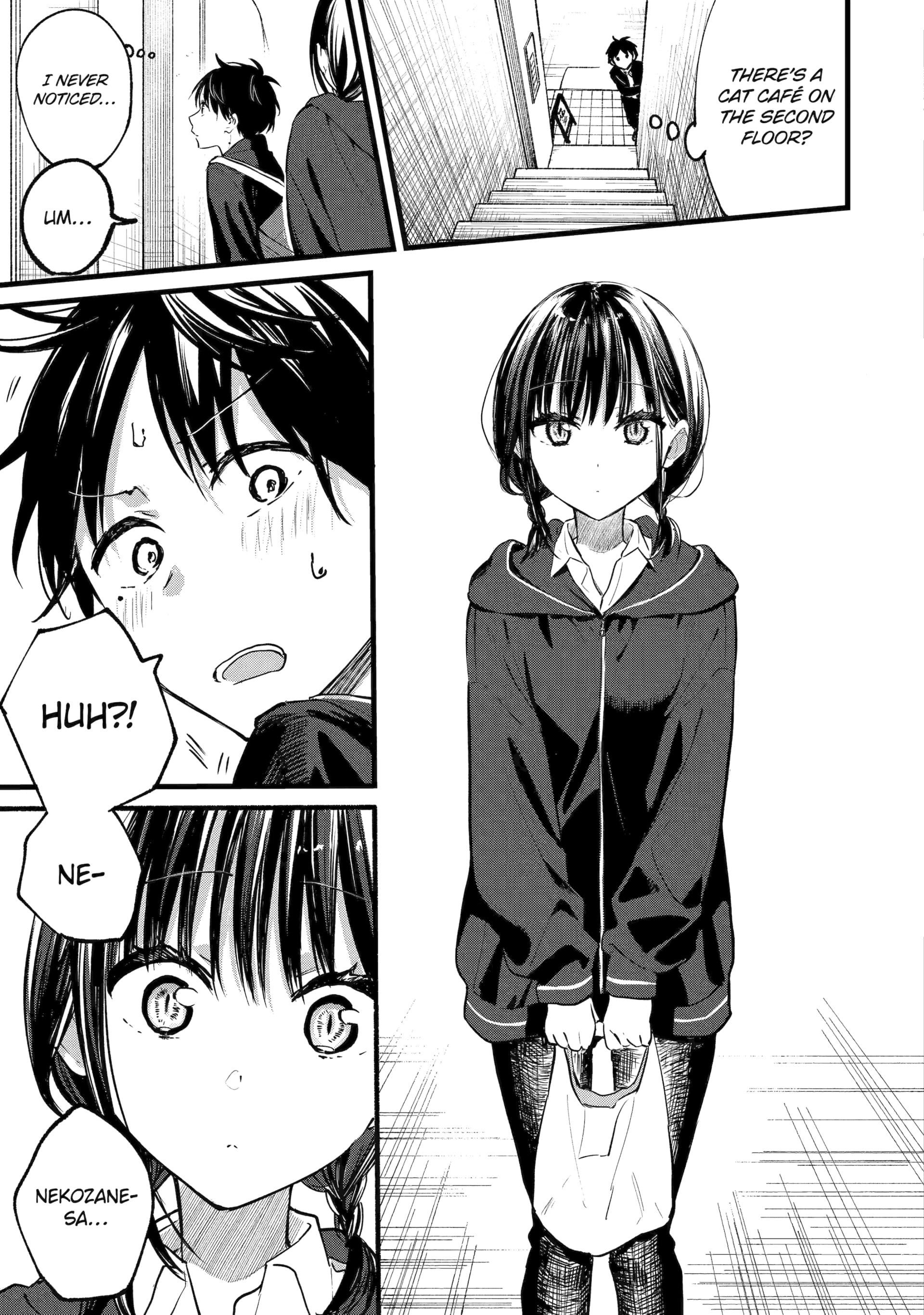 Page 17 of Chapter 1.1