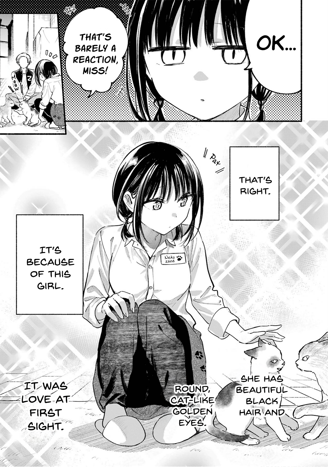 Page 3 of Chapter 12.5