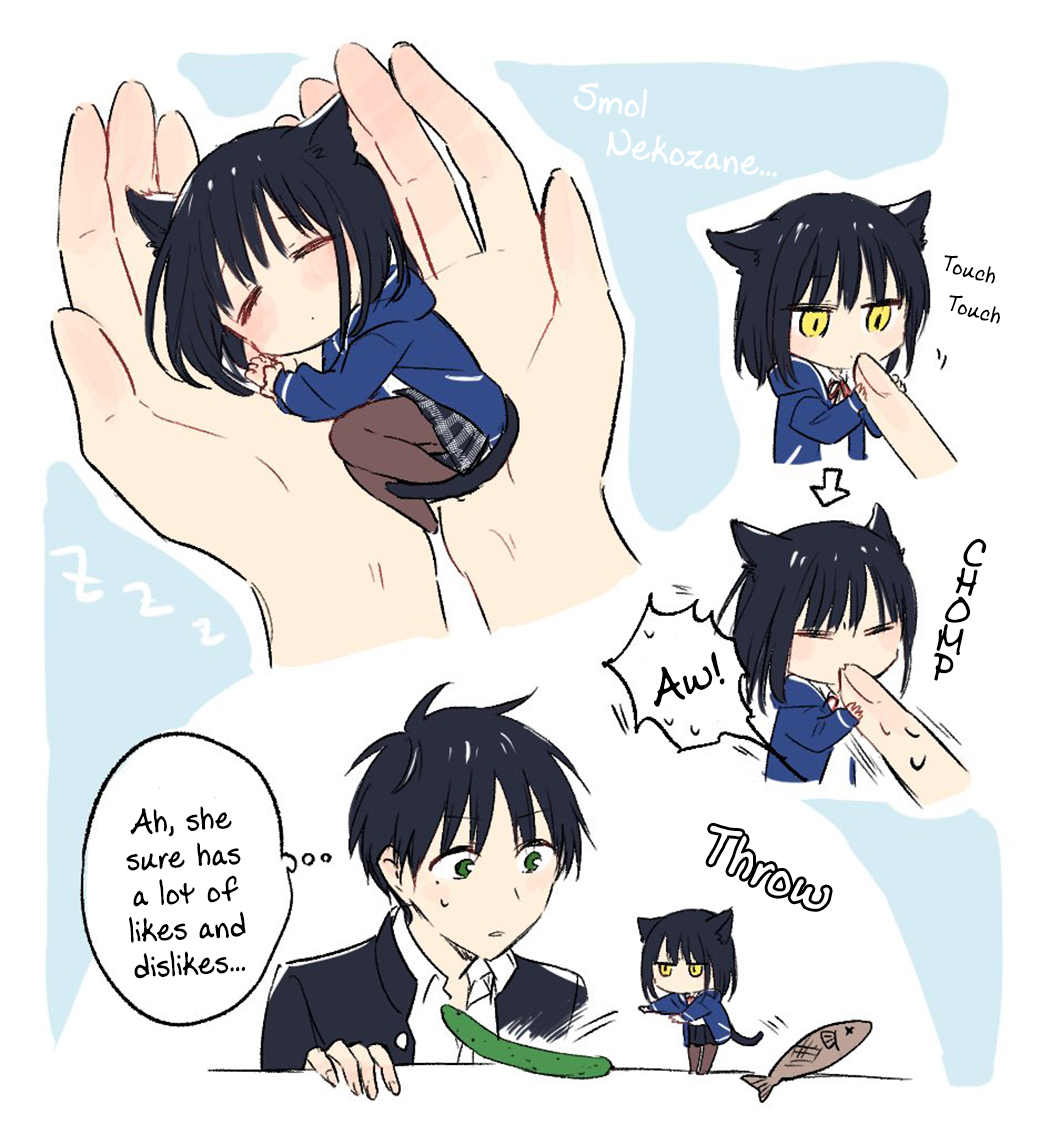 Page 6 of Chapter 12.4