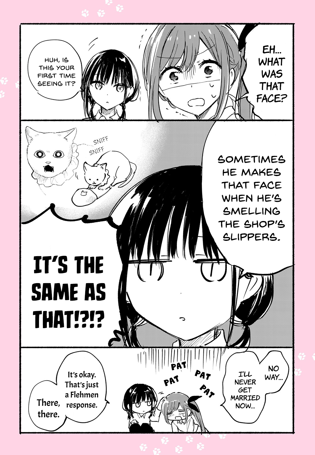 Page 13 of Chapter 12.4