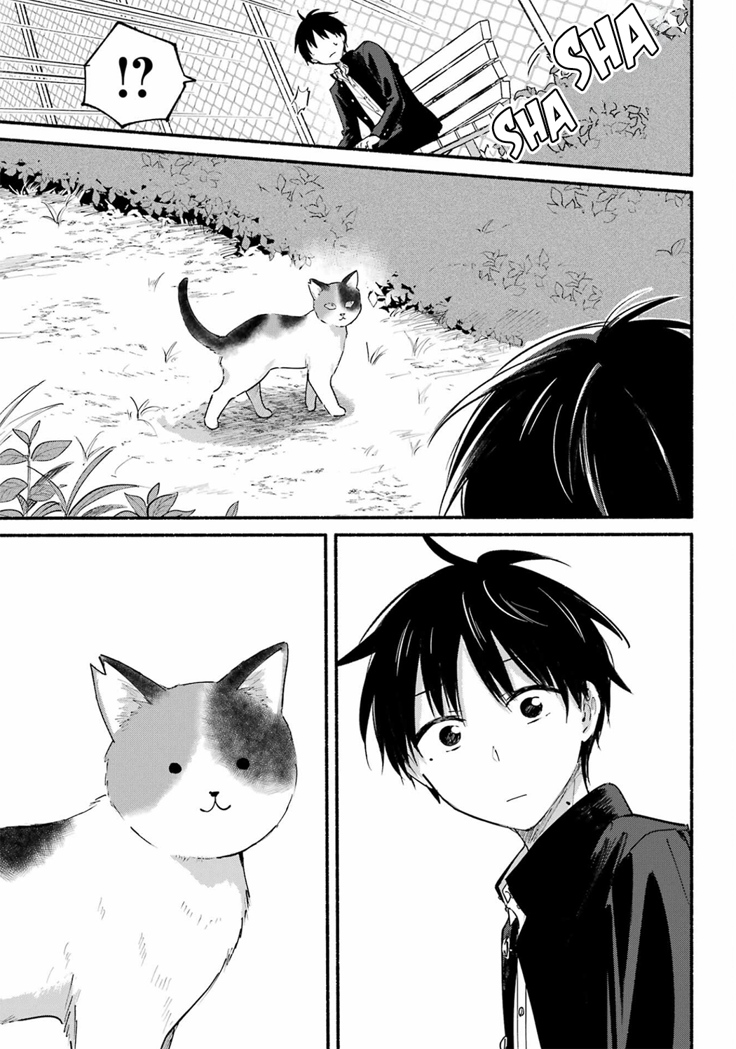 Page 17 of Chapter 14