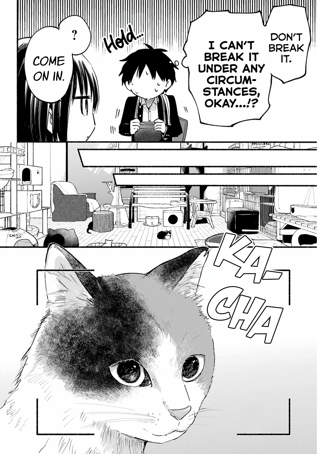 Page 10 of Chapter 15