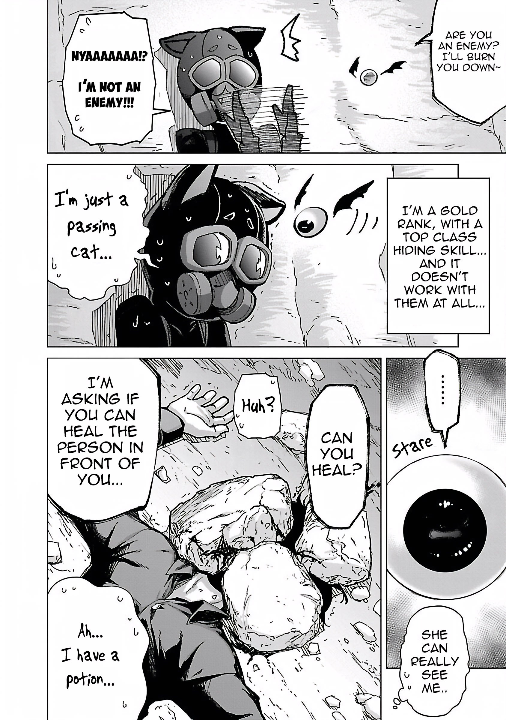 Page 13 of Chapter 19