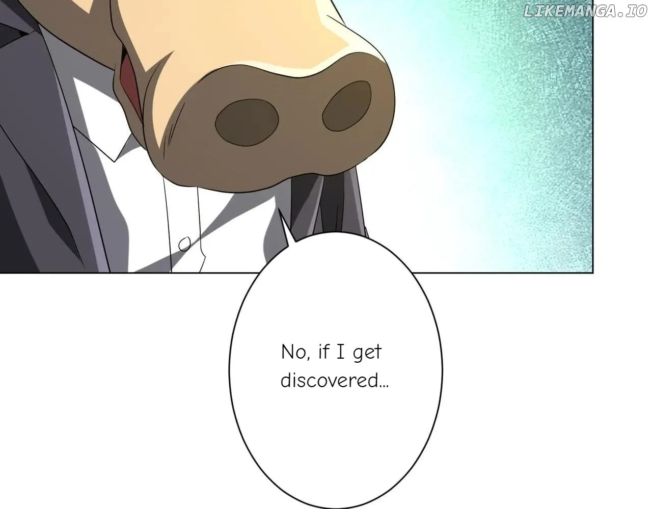 Page 14 of Chapter 204