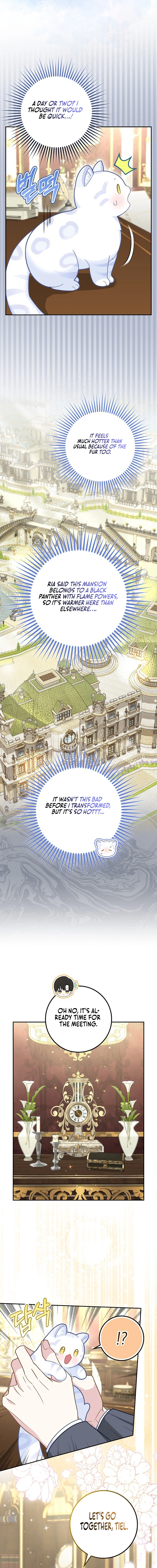 Page 11 of Chapter 21