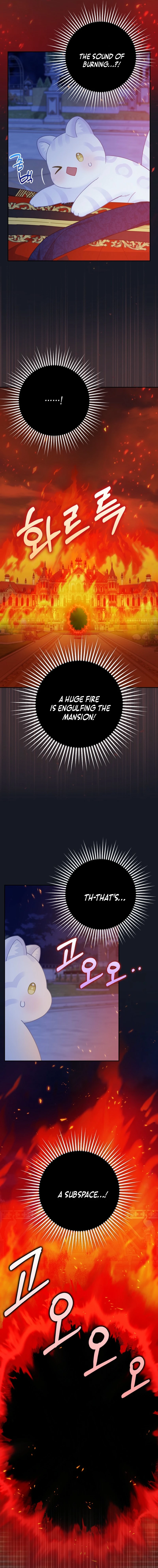 Page 4 of Chapter 41