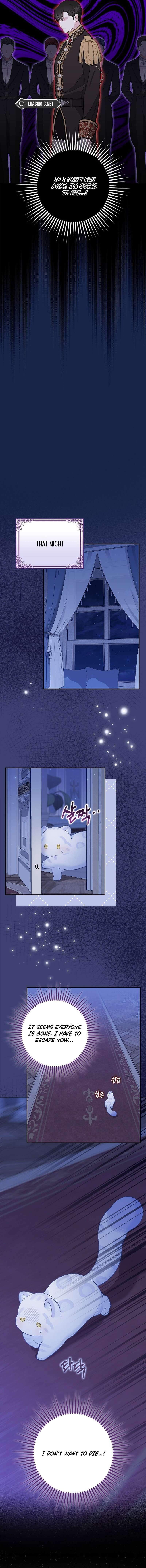 Page 13 of Chapter 6