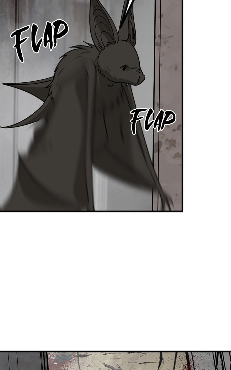 Page 62 of Chapter 114