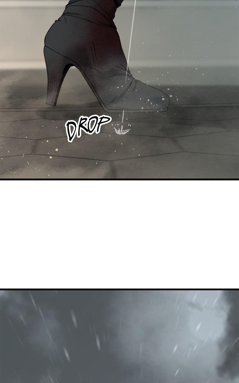 Page 19 of Chapter 117