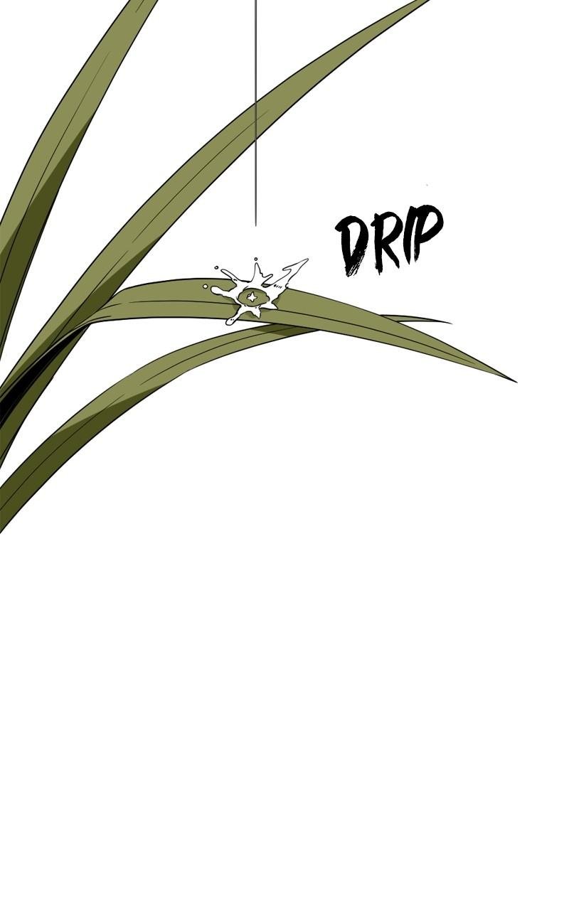 Page 51 of Chapter 163