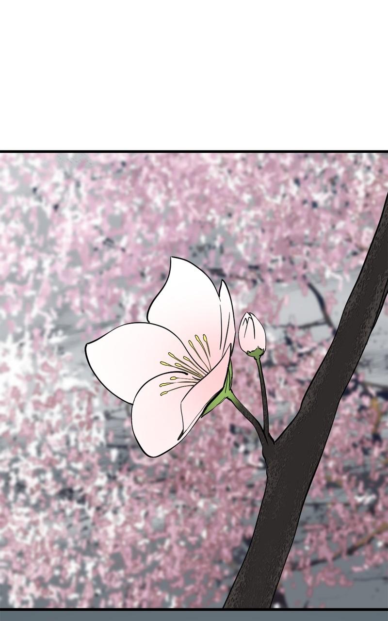 Page 81 of Chapter 163