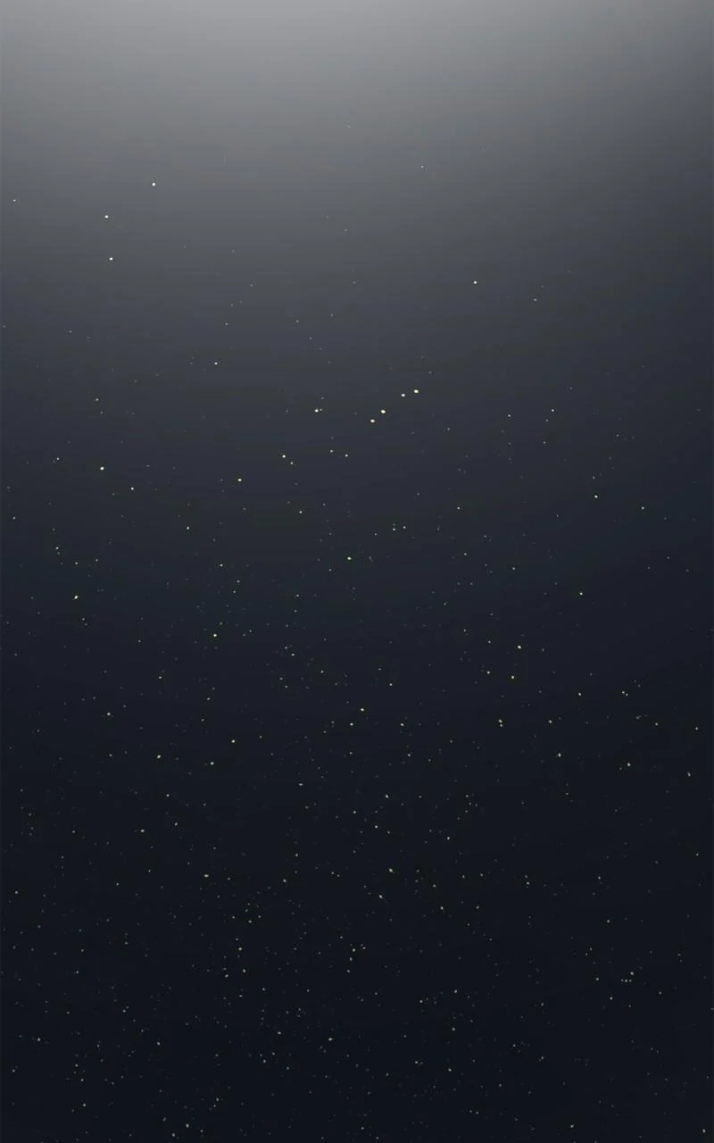 Page 114 of Chapter 184