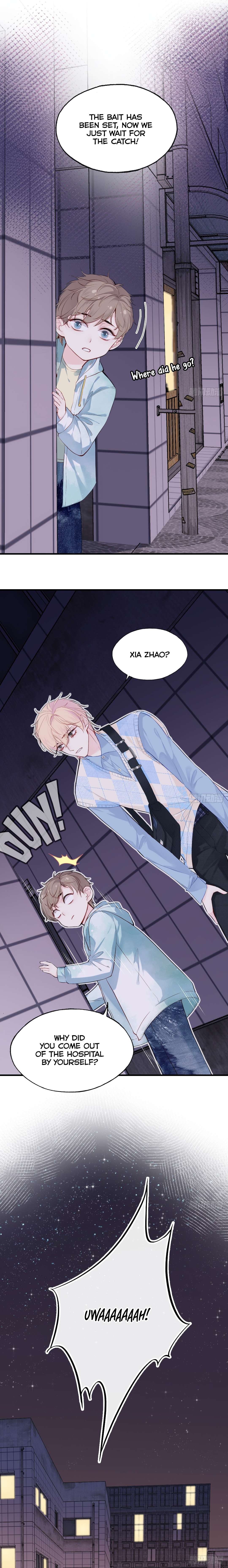 Page 13 of Chapter 219