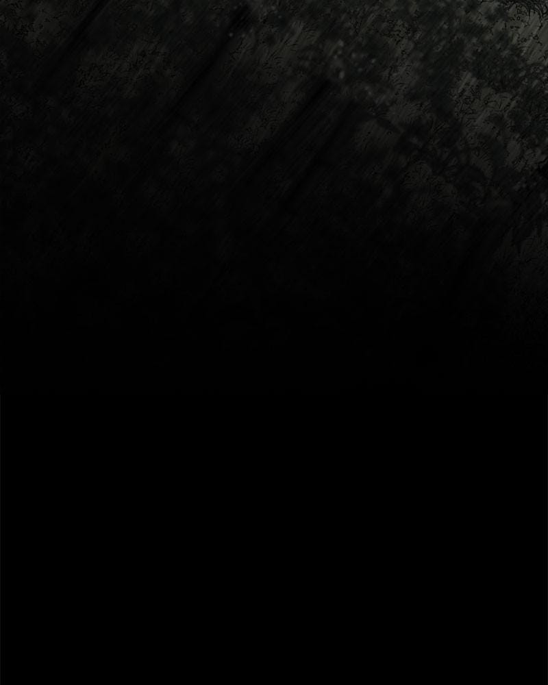 Page 4 of Chapter 41