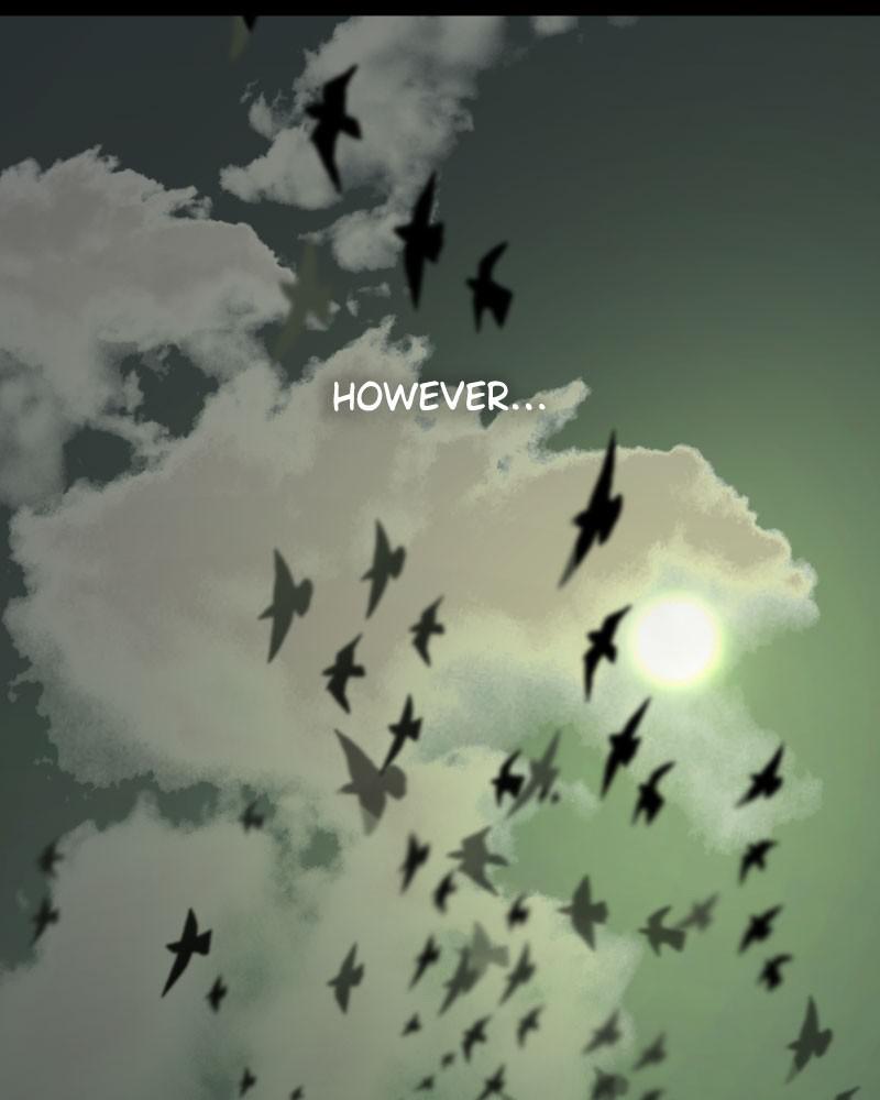 Page 178 of Chapter 74