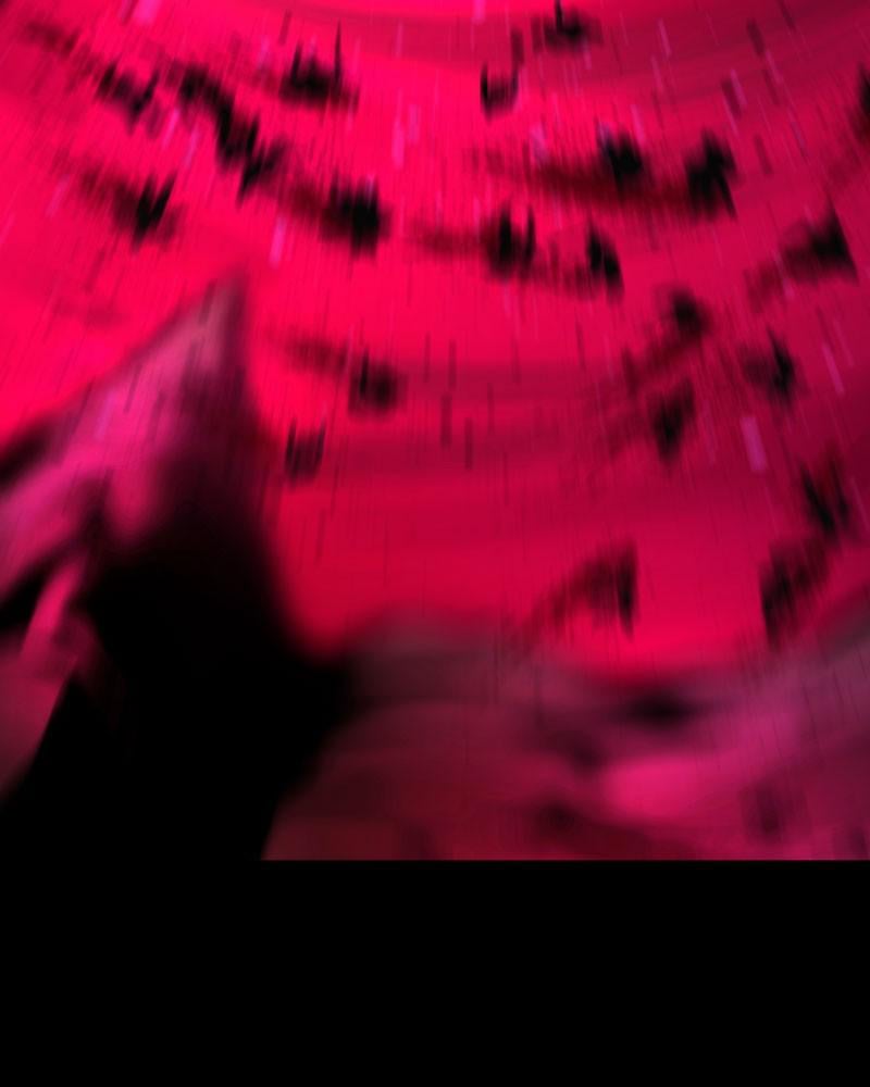 Page 57 of Chapter 74