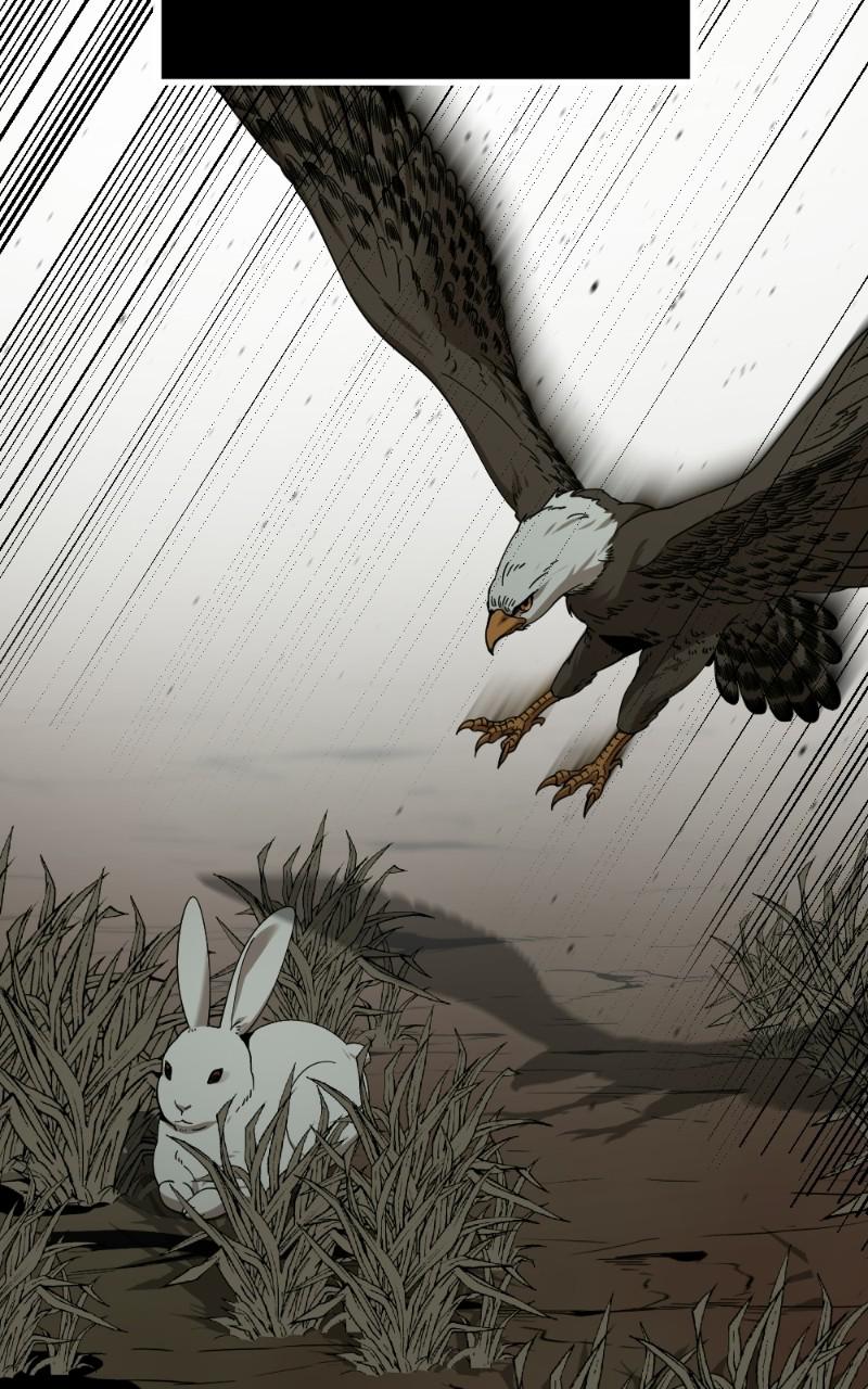 Page 17 of Chapter 78
