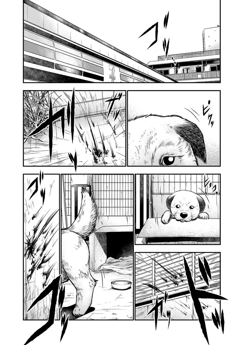 Page 13 of Chapter 2