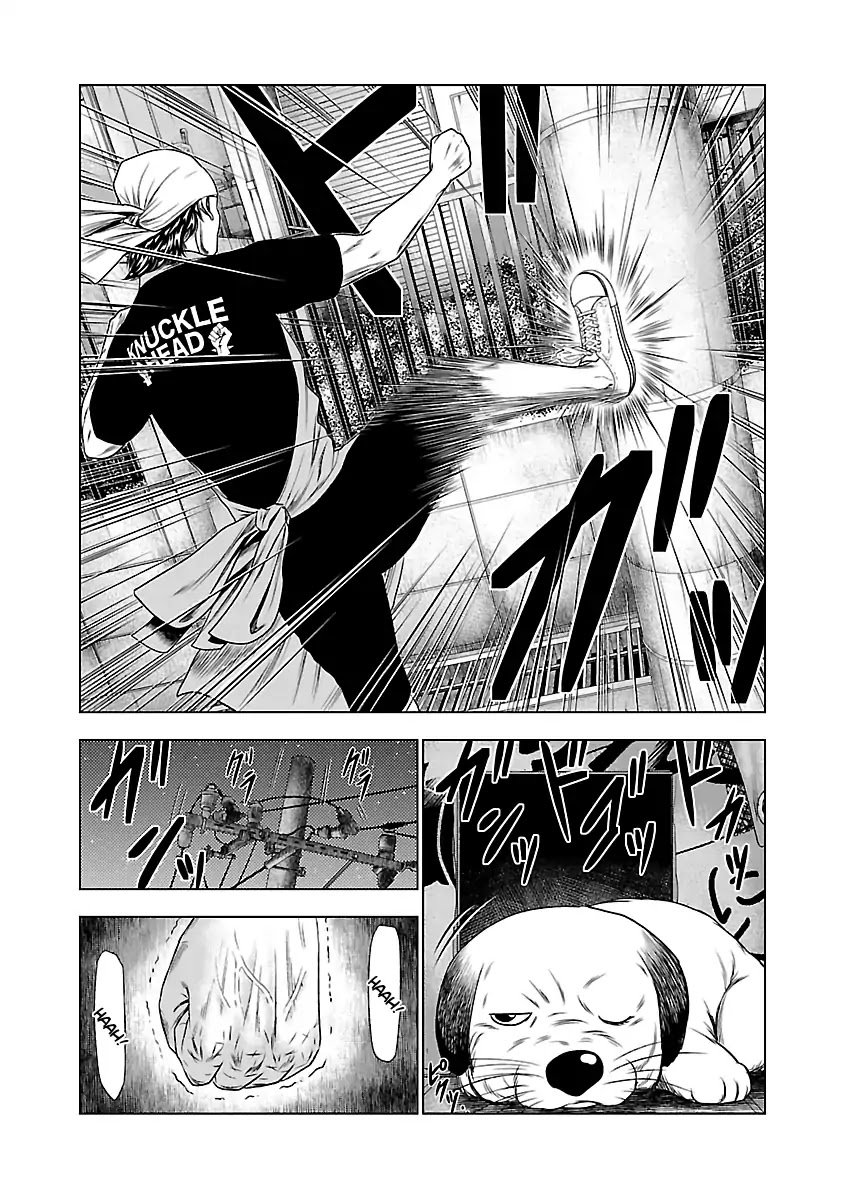 Page 17 of Chapter 23