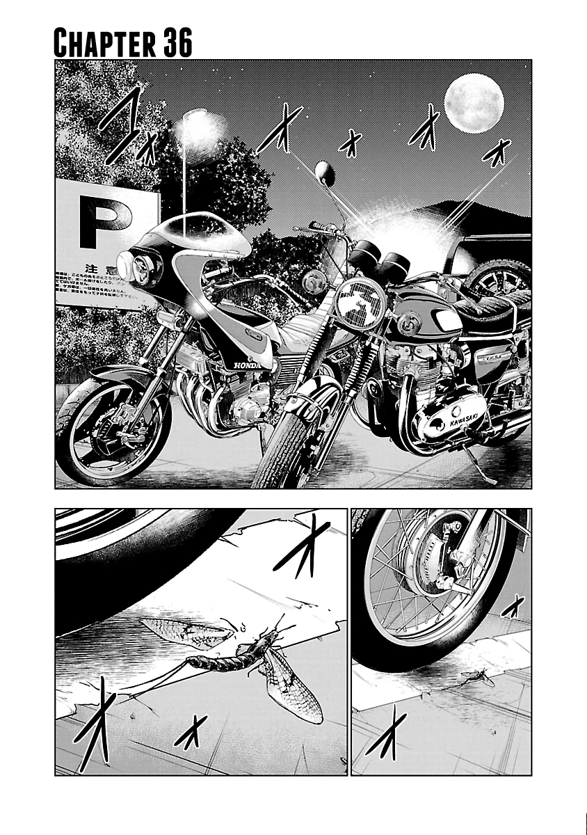 Page 2 of Chapter 36