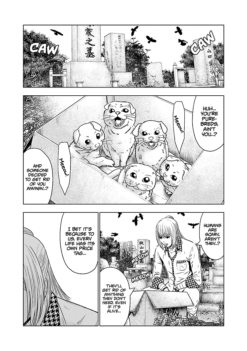Page 13 of Chapter 52
