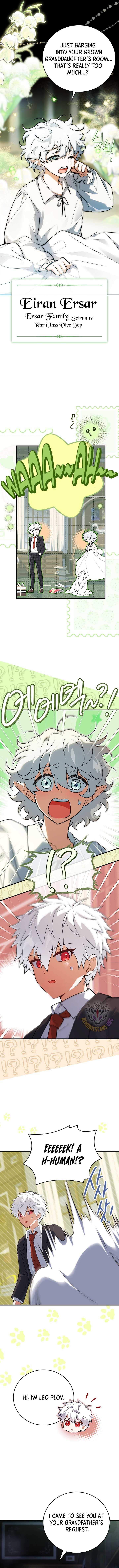 Page 15 of Chapter 39
