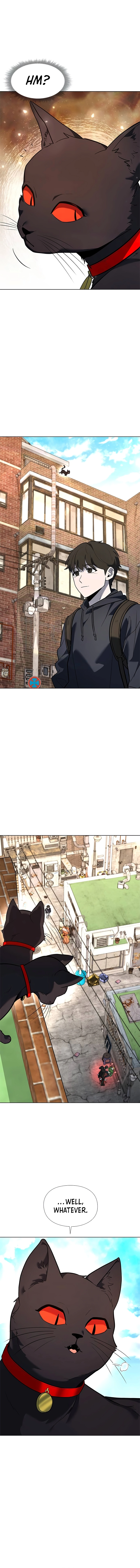 Page 4 of Chapter 36