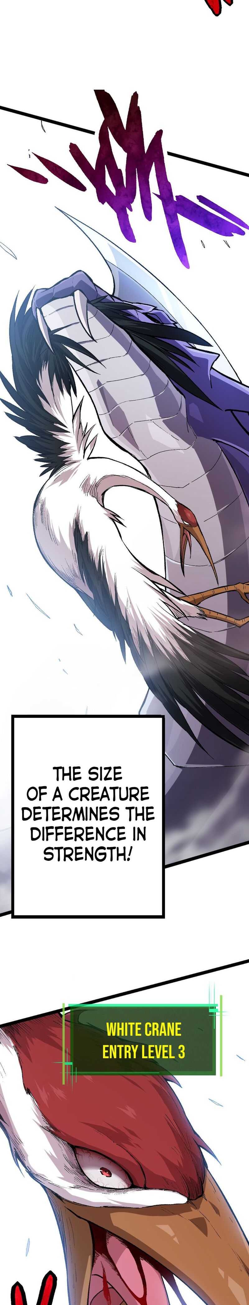 Page 11 of Chapter 11