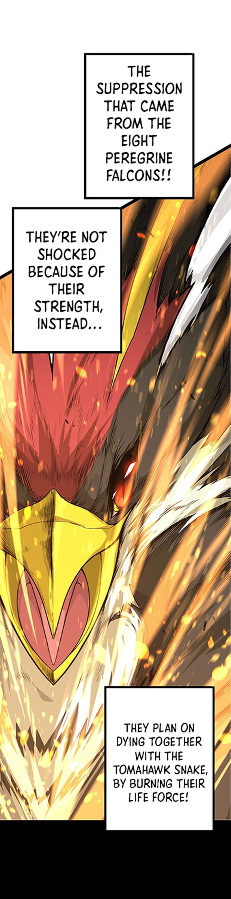 Page 9 of Chapter 12