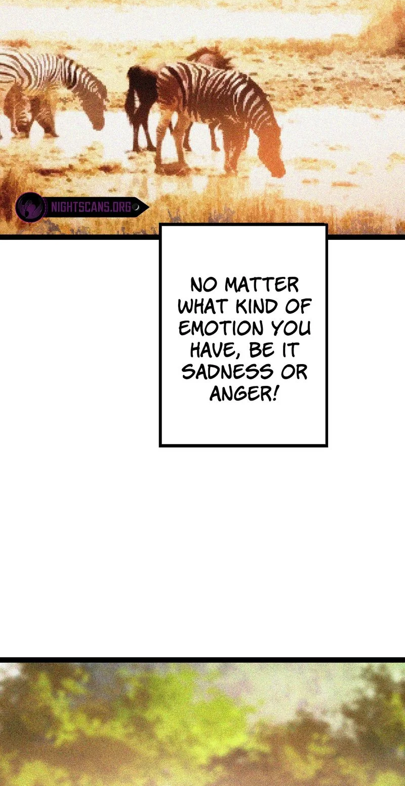 Page 111 of Chapter 13