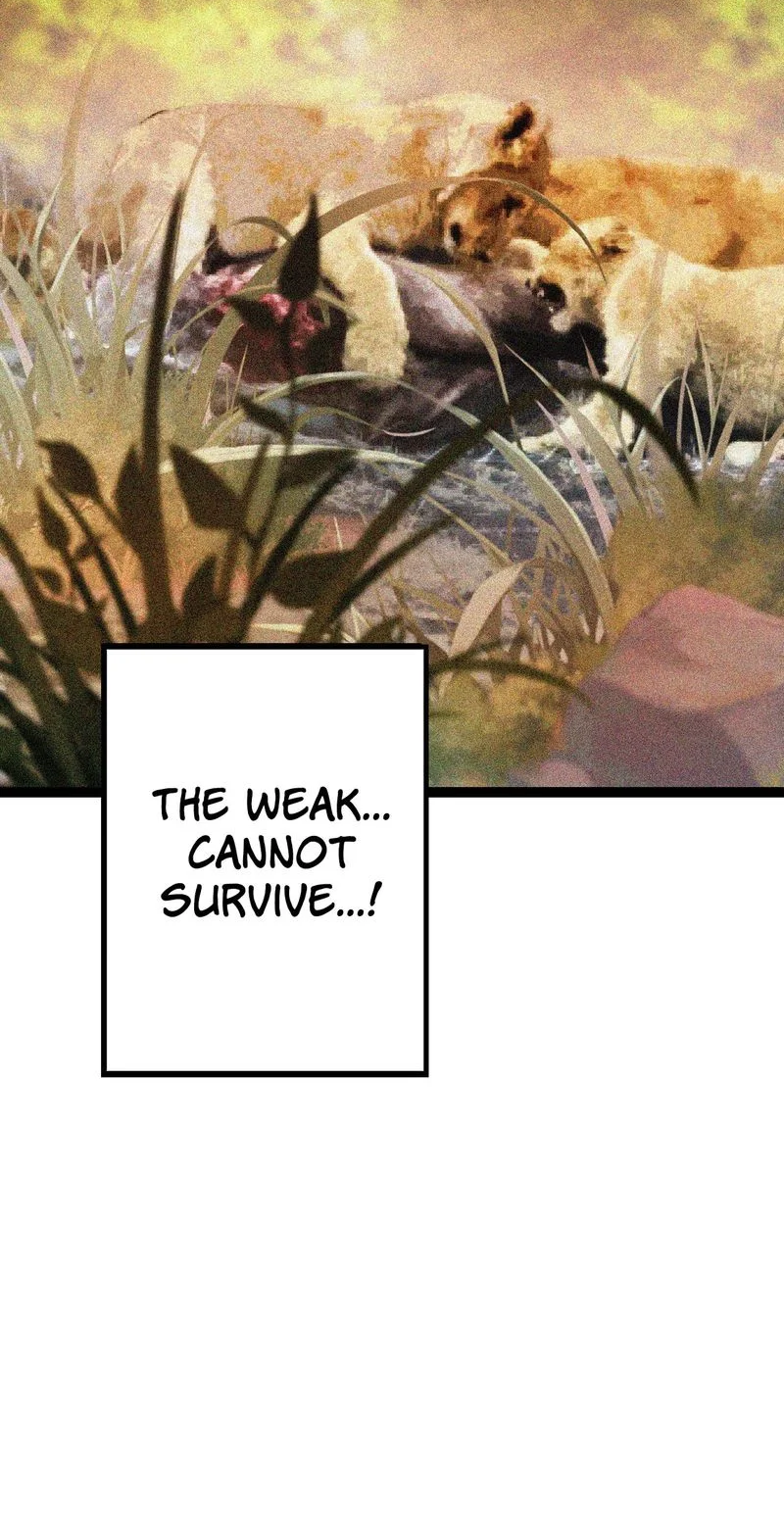 Page 112 of Chapter 13
