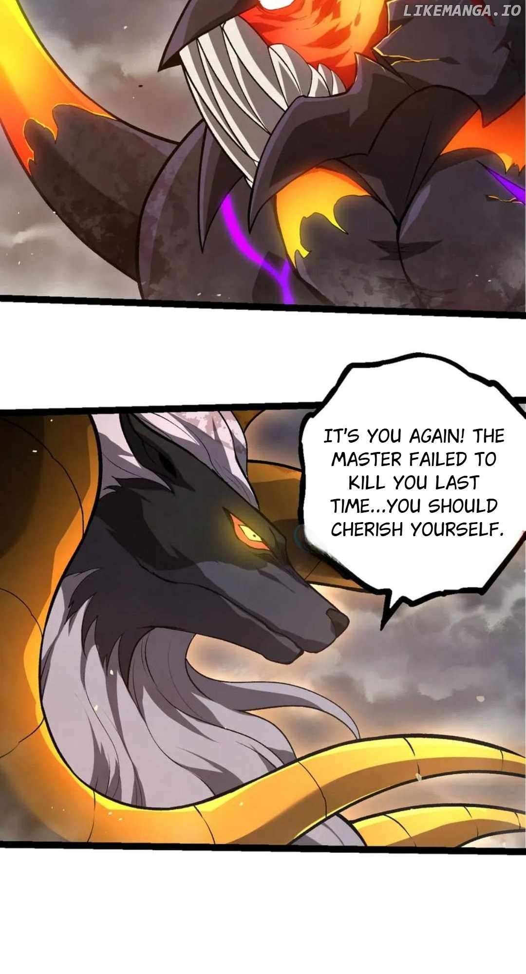 Page 5 of Chapter 335