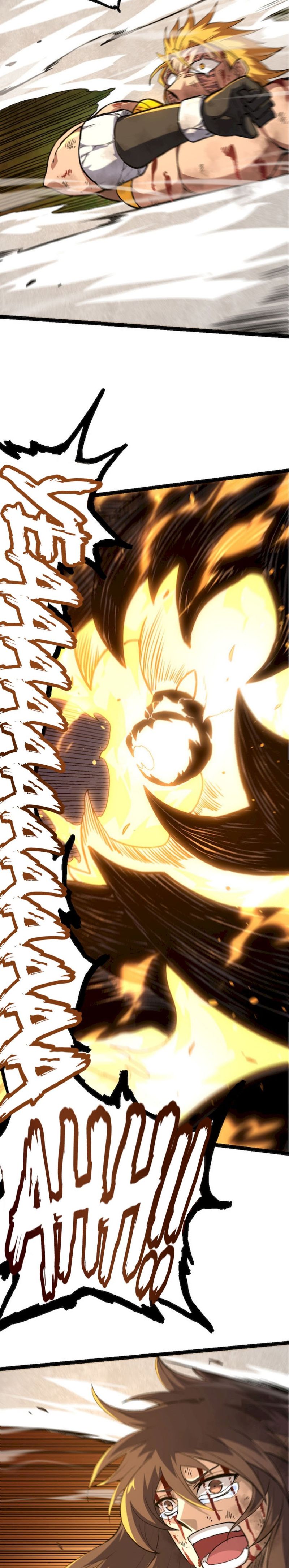 Page 17 of Chapter 66