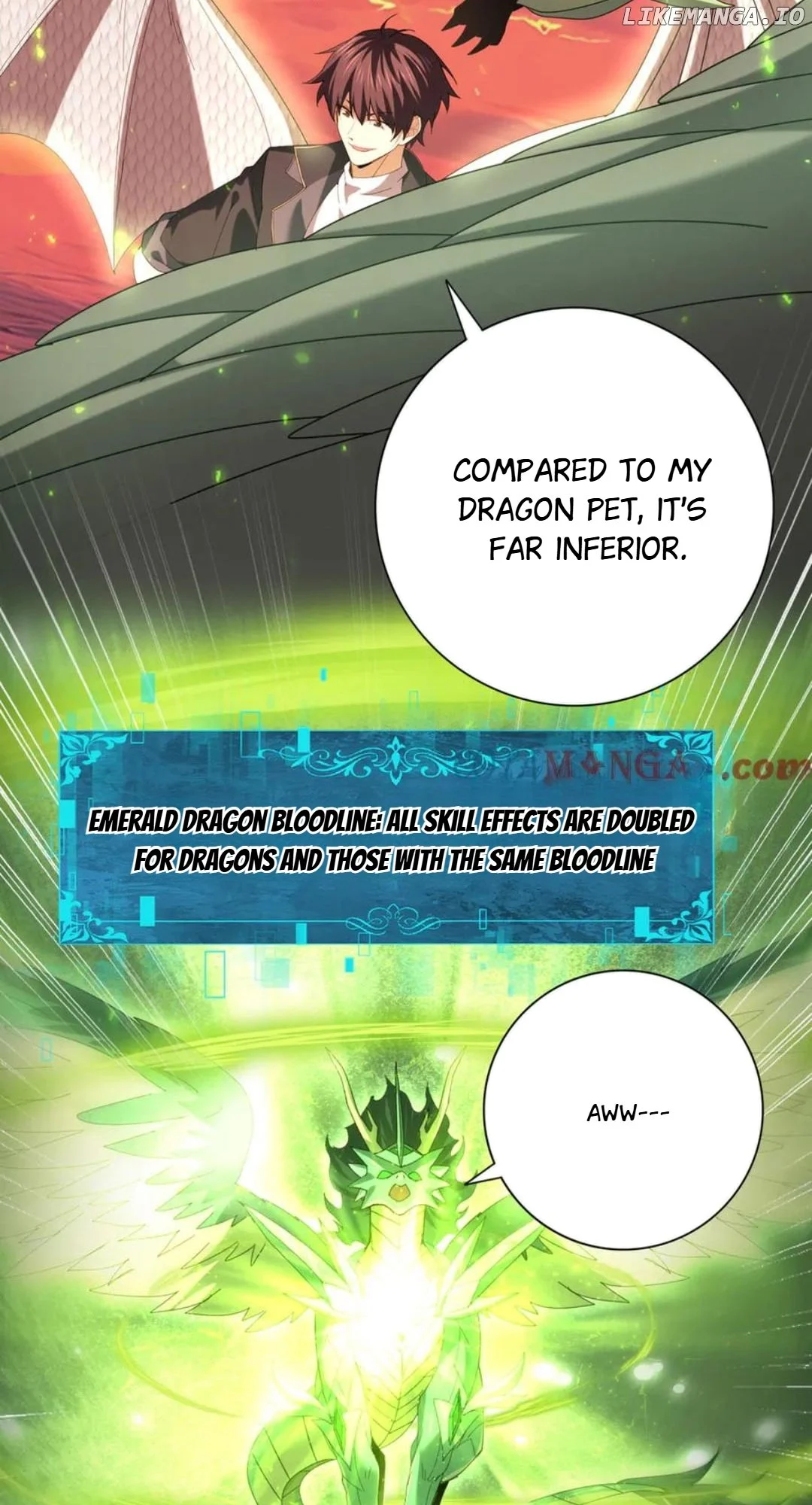 Page 13 of Chapter 95