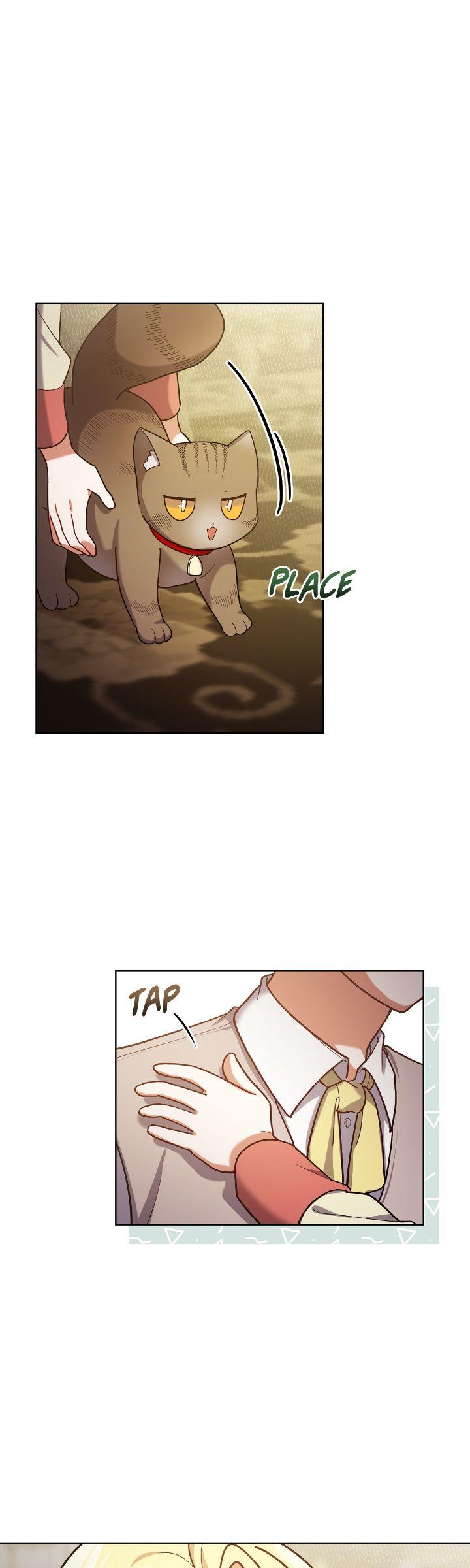 Page 6 of Chapter 203