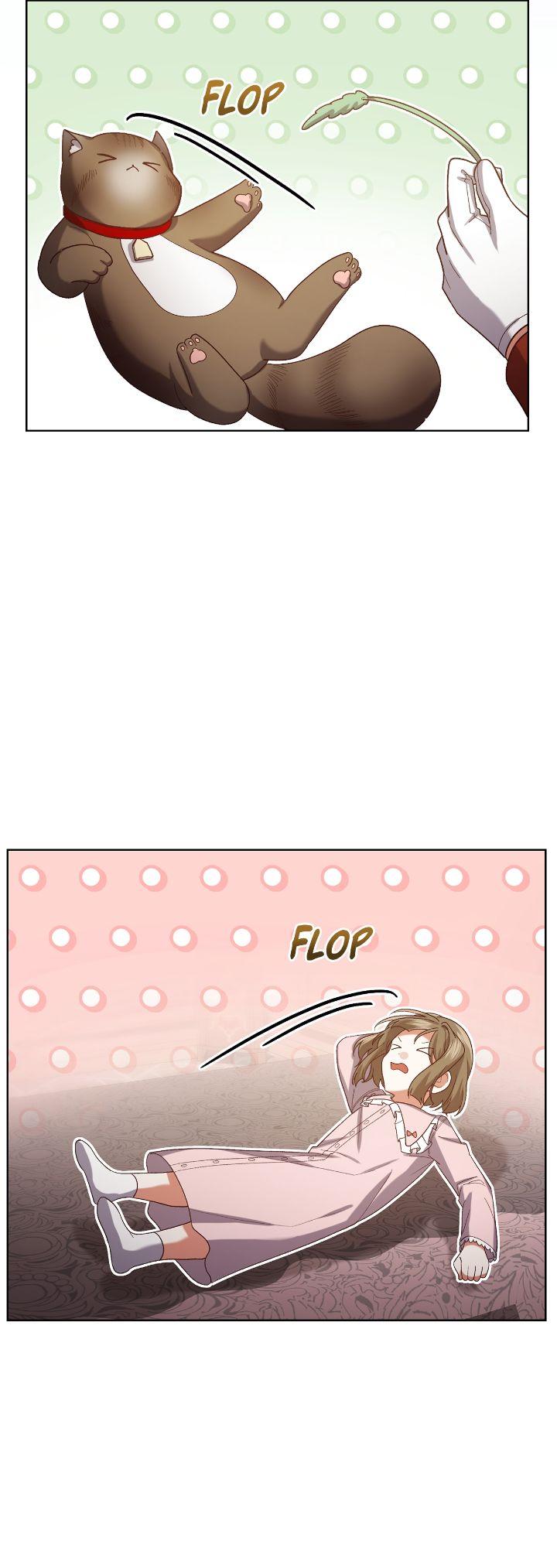 Page 43 of Chapter 203