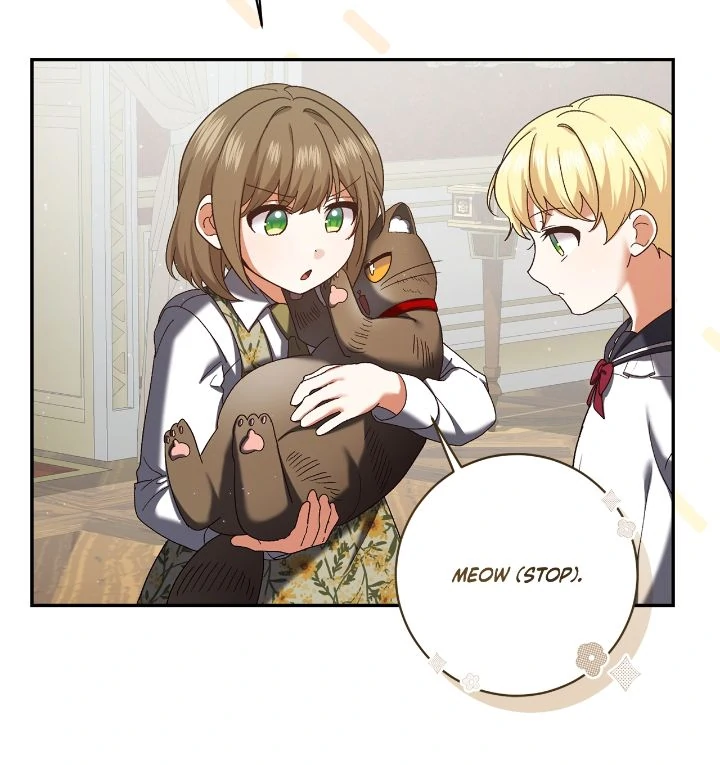 Page 17 of Chapter 221