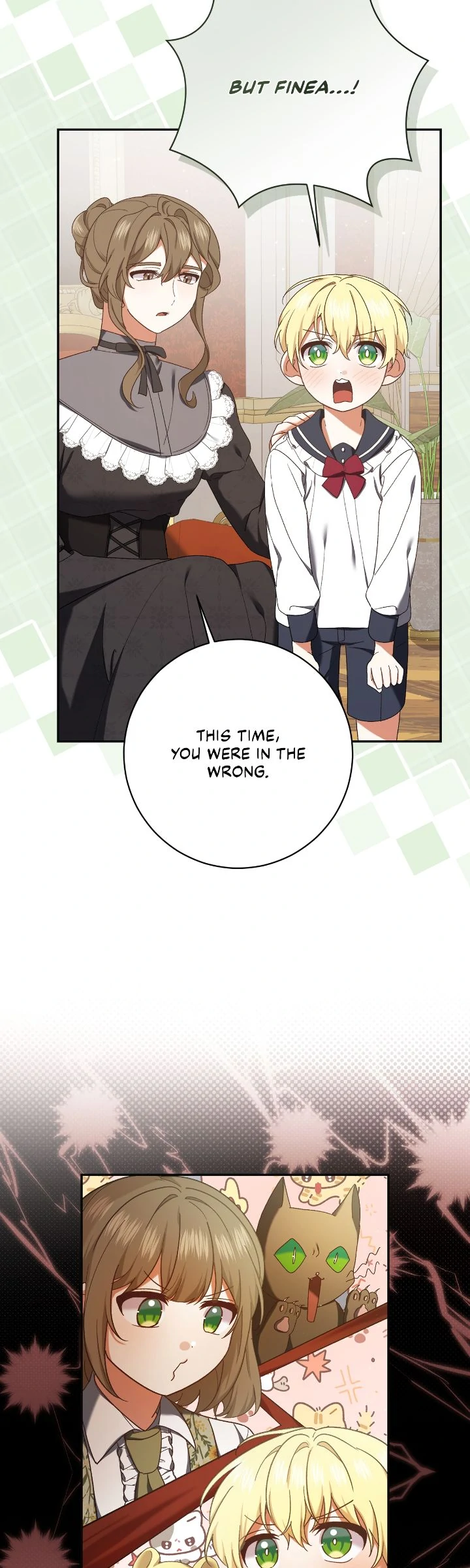 Page 25 of Chapter 221