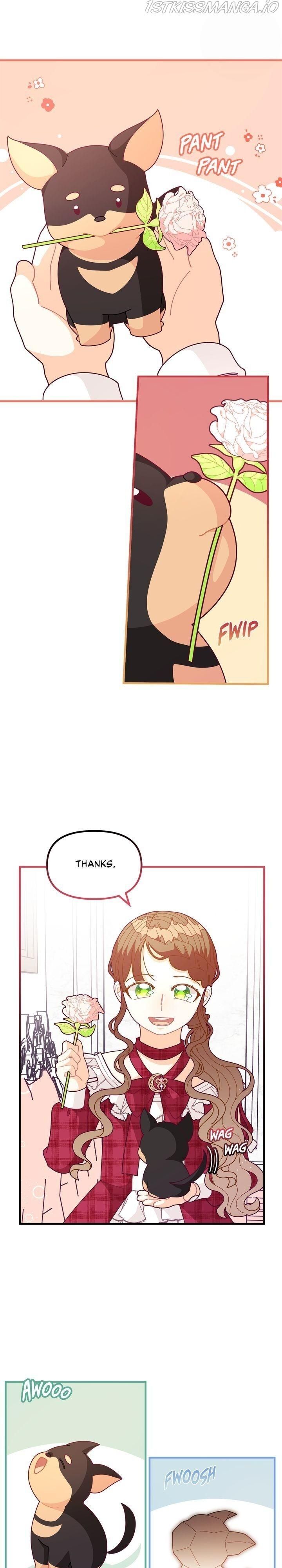 Page 6 of Chapter 62