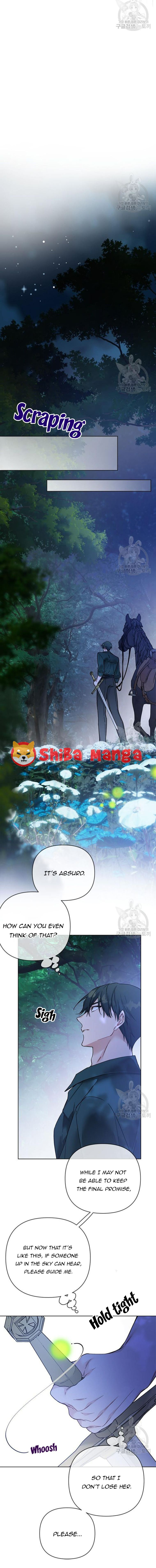Page 13 of Chapter 114